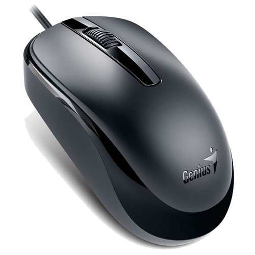 MOUSE GENIUS DX-120 USB NEGRO MOUSE GENIUS DX-120 USB NEGRO - Imagen 1