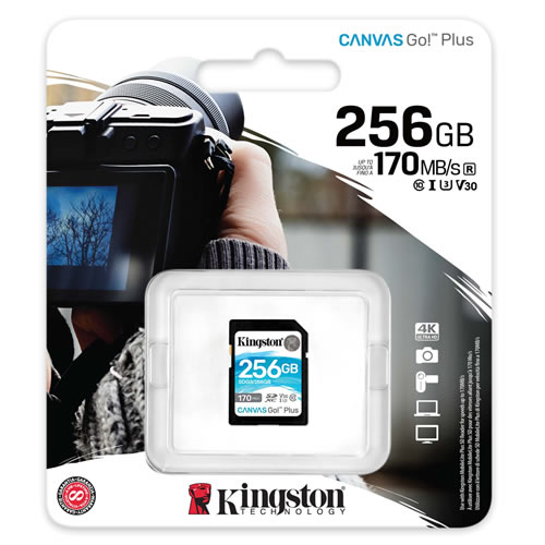 Kingston Canvas GO Plus 256 Gb C10 U3 170 Mbps MEMORIA SD KINGSTON CANVAS GO PLUS 256 GB C10 U3 170 MBPS - Imagen 1