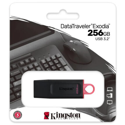 PEN DRIVE KINGSTON 256 GB DTX NEGRO