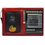 RADIO PORTATIL AM-FM FP-1620U - Imagen 2